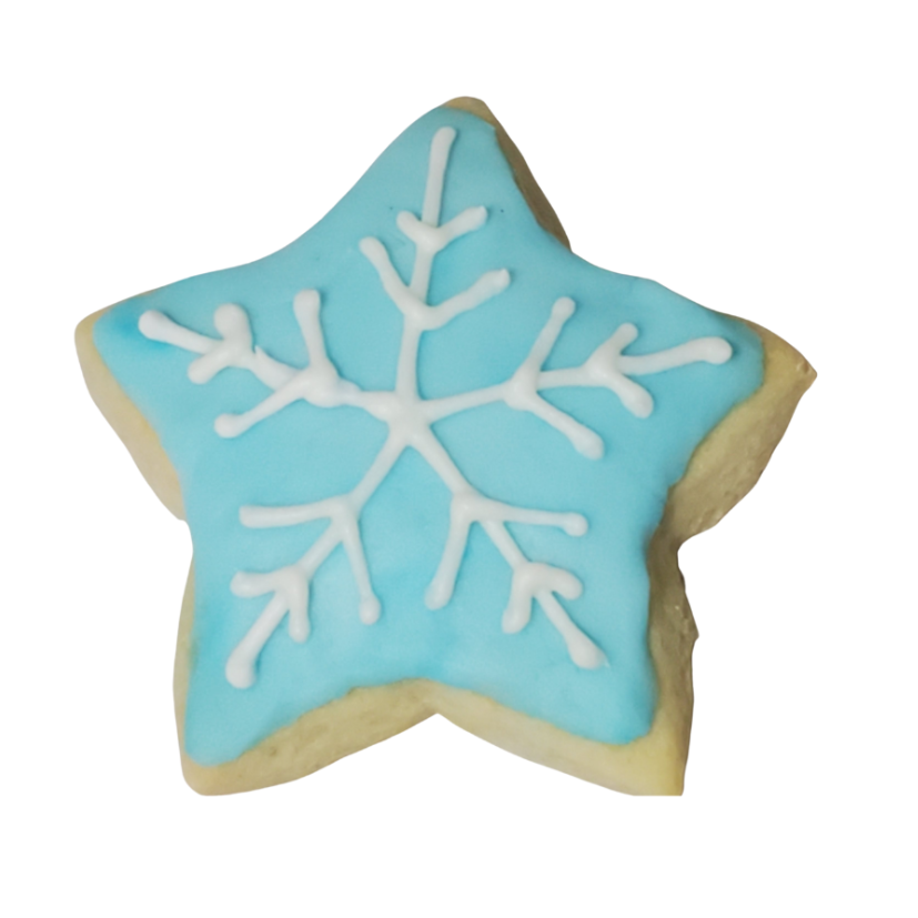 Christmas Star