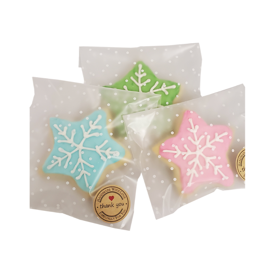 Christmas Star (Wrapped)